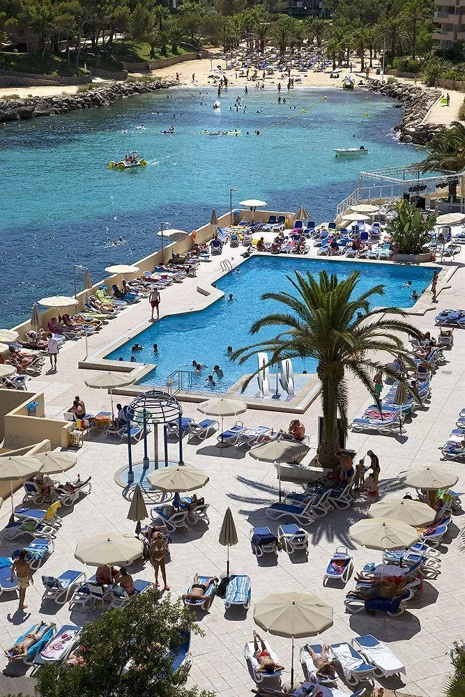 Apartment Globales Apartamentos Cala Vinas Only Adults 16