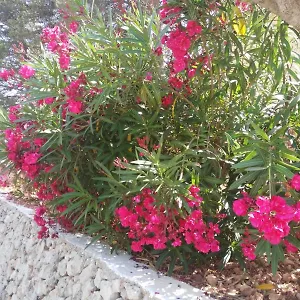 Appartamento Cala Galdana, Cala Galdana (Menorca)